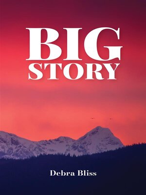 cover image of Big Story